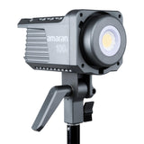 Amaran 100d Daylight Light Kit