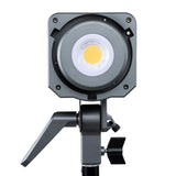 Amaran 100d Daylight Light Kit