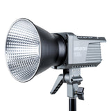 Amaran 100d Daylight Light Kit