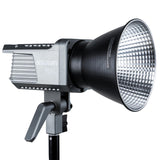 Amaran 100d Daylight Light Kit