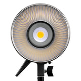 Amaran 100d Daylight Light Kit