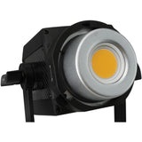 Nanlite Forza 200 Daylight LED Monolight