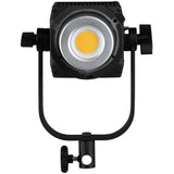 Nanlite Forza 200 Daylight LED Monolight