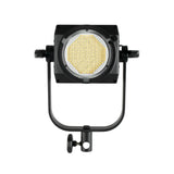 Nanlite FS-300 LED AC Monolight